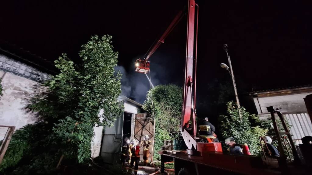 522641286 1186704806816718 9195688610875470359 n 2025 07 25 210427