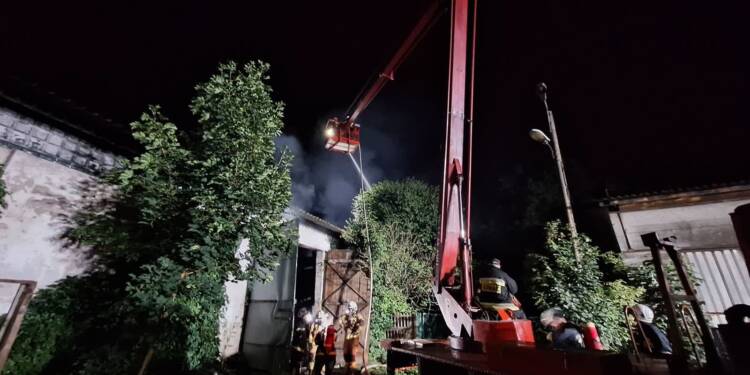 522641286 1186704806816718 9195688610875470359 n 2025 07 25 210427