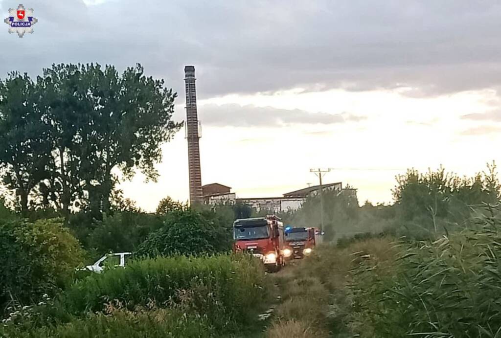 68 272228 2025 07 23 181049