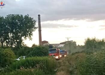 68 272228 2025 07 23 181049