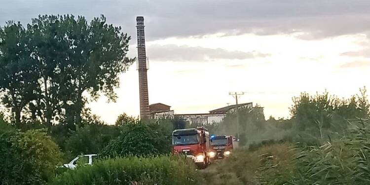 68 272228 2025 07 23 181049