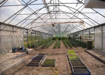 agriculture 981585 1280 2025 07 21 014437