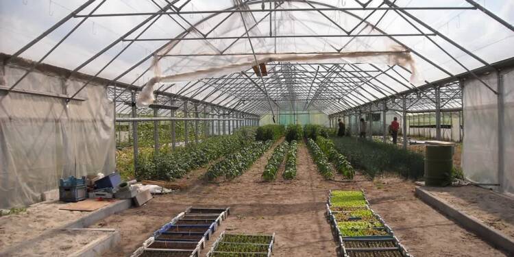 agriculture 981585 1280 2025 07 21 014437