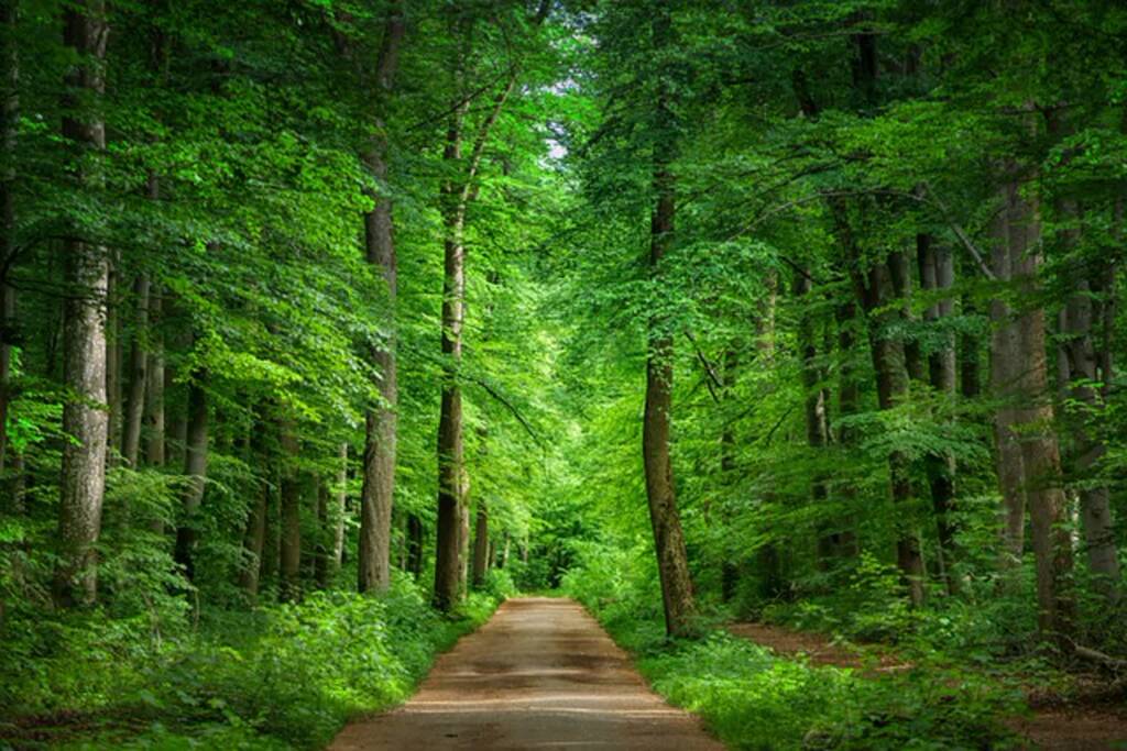 away 5179112 640 2025 07 04 154426