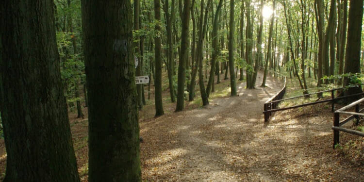 baltic sea coast 96110 1280 2025 07 16 075512