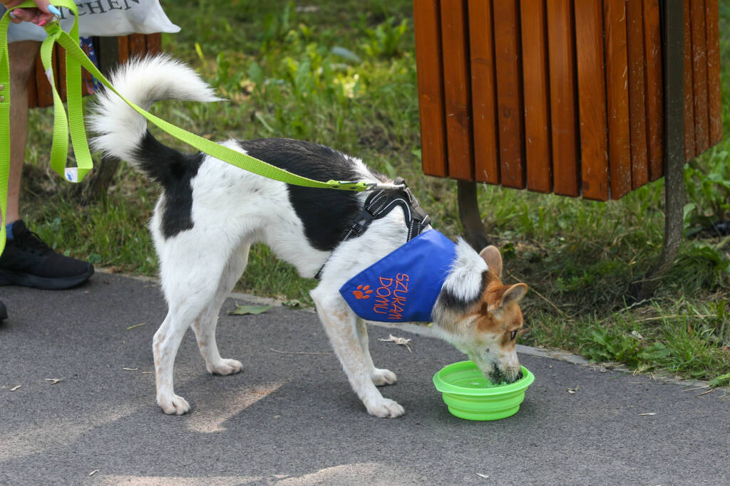 bq8v2372 2025 07 02 104147