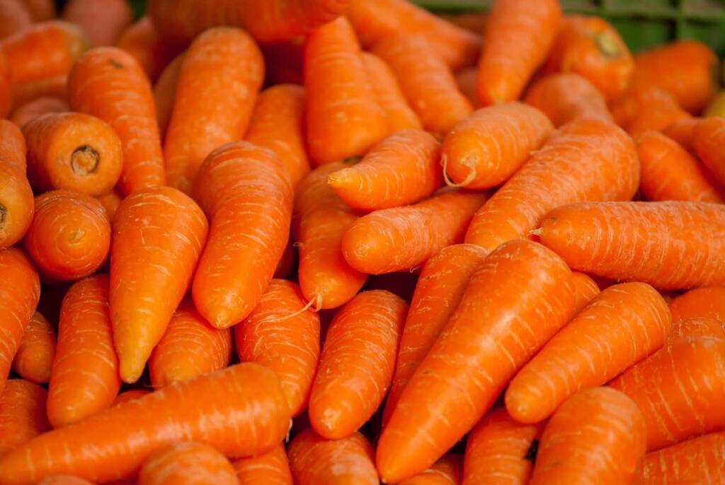 carrots 1508847 1280 2025 07 02 074401