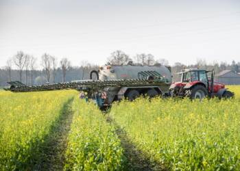 catch crop 4133942 1280 2025 07 18 133000