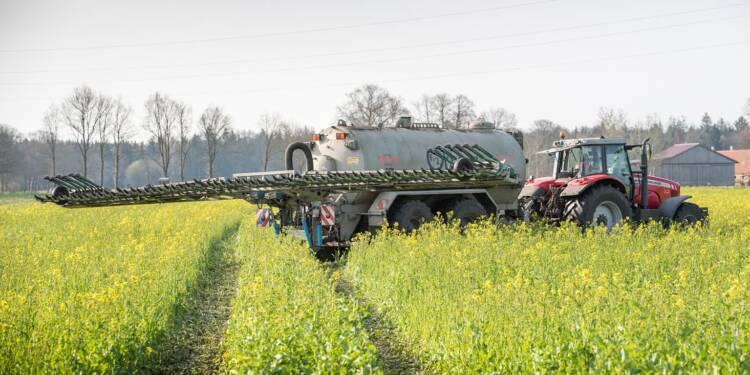 catch crop 4133942 1280 2025 07 18 133000