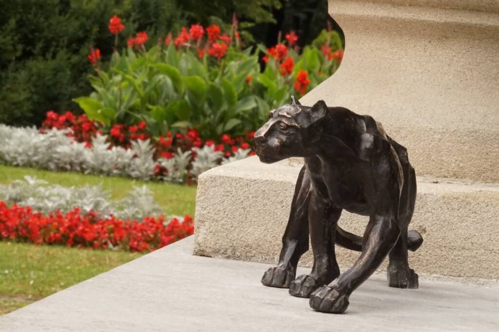 dsc07626 2025 07 31 081850