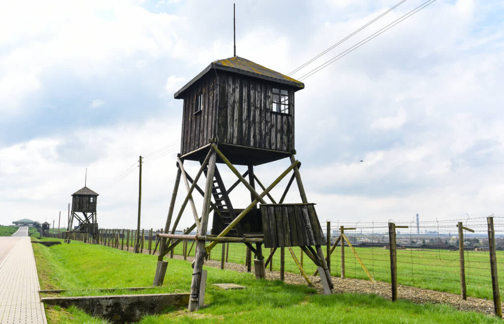 dsc 2410 2025 07 22 073629