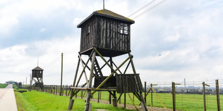 dsc 2410 2025 07 22 073629