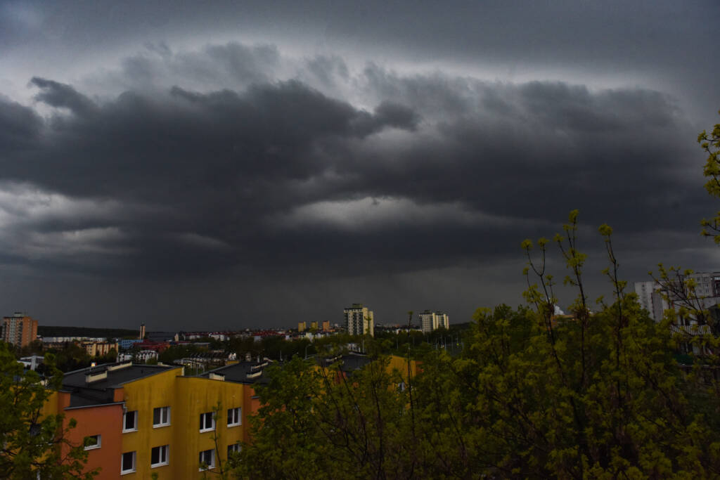 dsc 7191 2025 07 09 063408