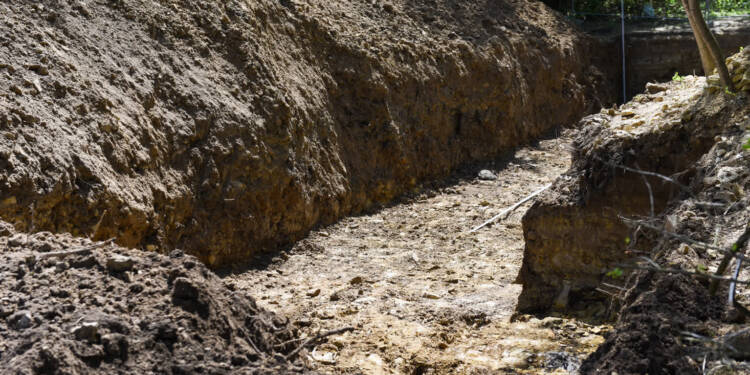 dsc 9674 2025 07 22 164311