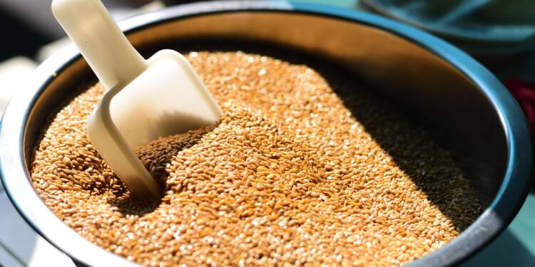 flaxseed 8503174 1280 2025 07 21 141545