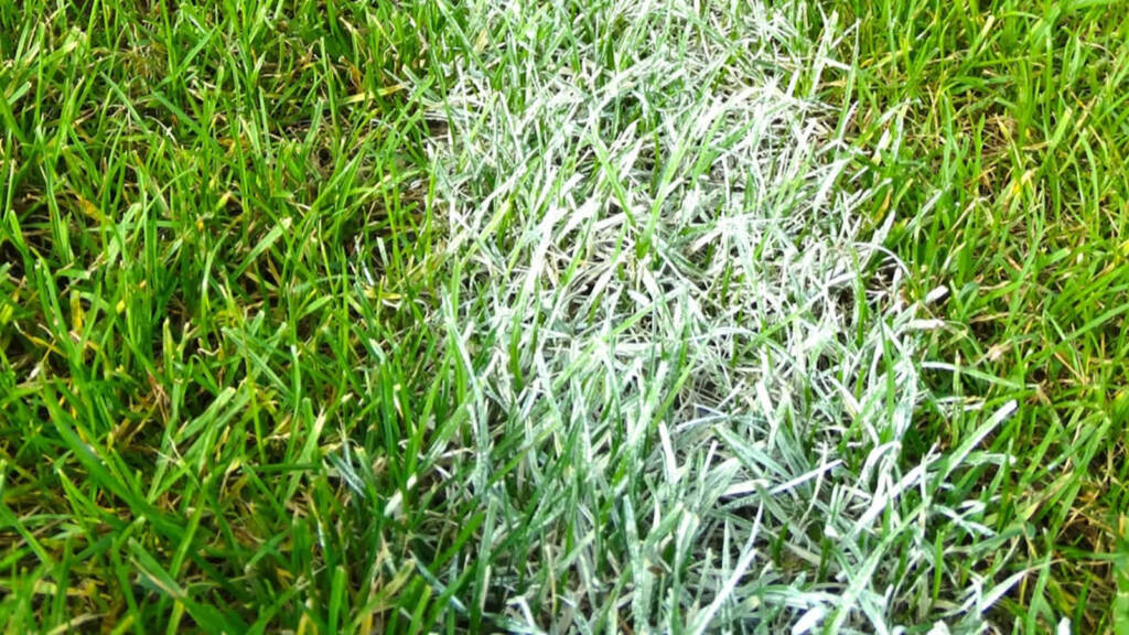 football field 488393 1280 2025 07 18 141832