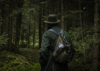 forest 4674703 1280 2025 07 08 132907