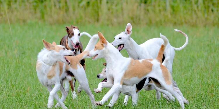 fun 2213606 1280 2025 07 29 070523