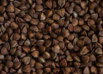 groats 4968956 1280 2025 07 23 154632