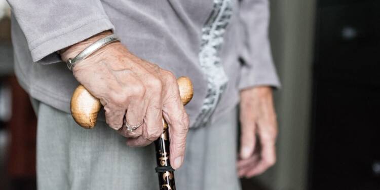 hands 3667030 1280 2025 07 27 094751