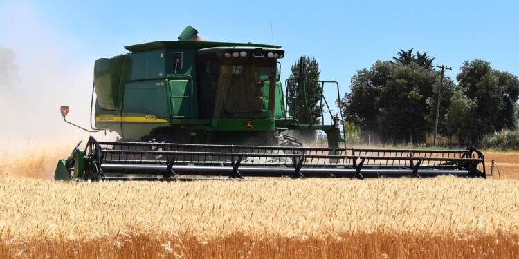 harvest 1907821 1280 2025 07 29 161846