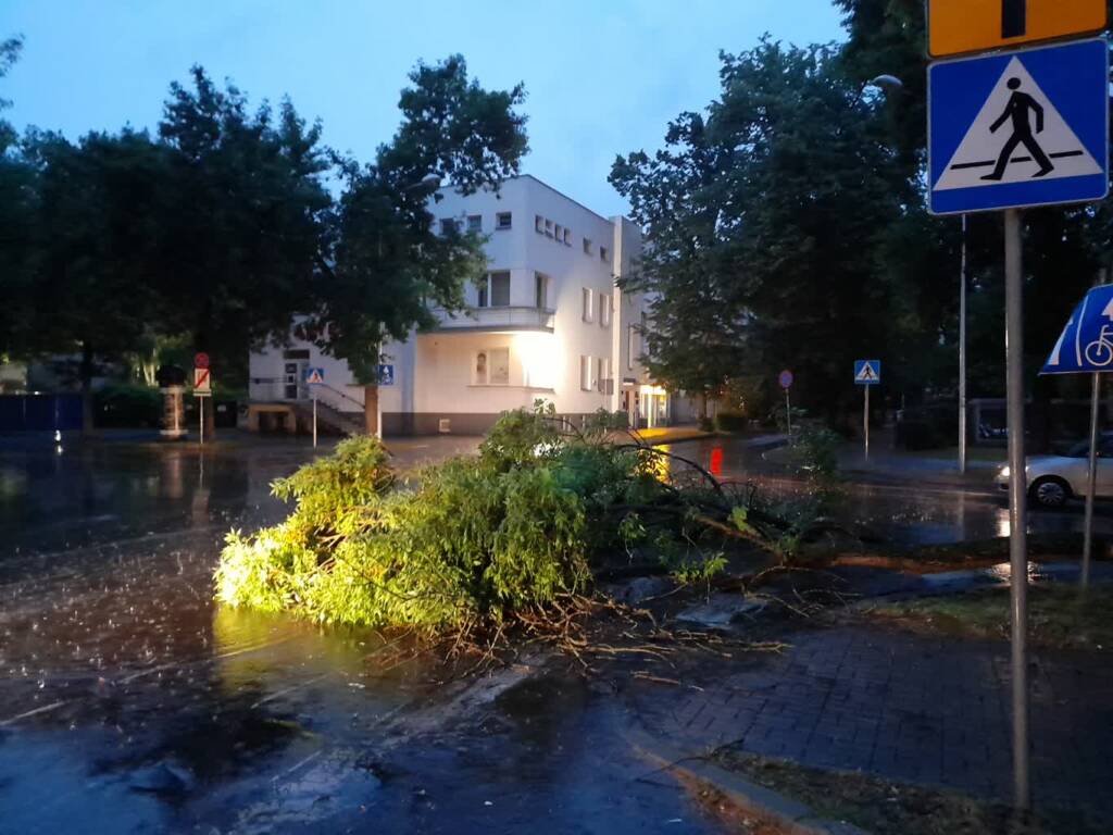 img 20250707 wa0002 2025 07 07 220407