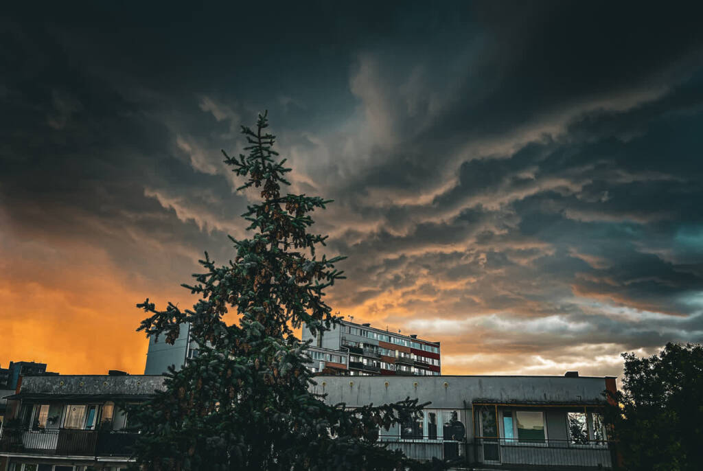 img 0473 2025 07 17 100204