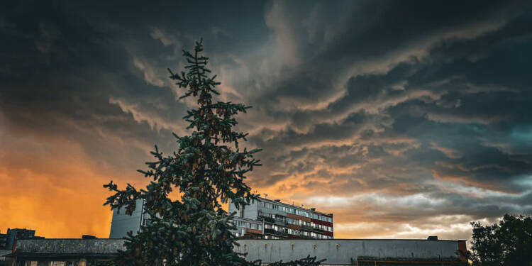 Lato nie rozpieszcza. Dziś znowu może zagrzmieć 1 img 0473 2025 07 17 100204