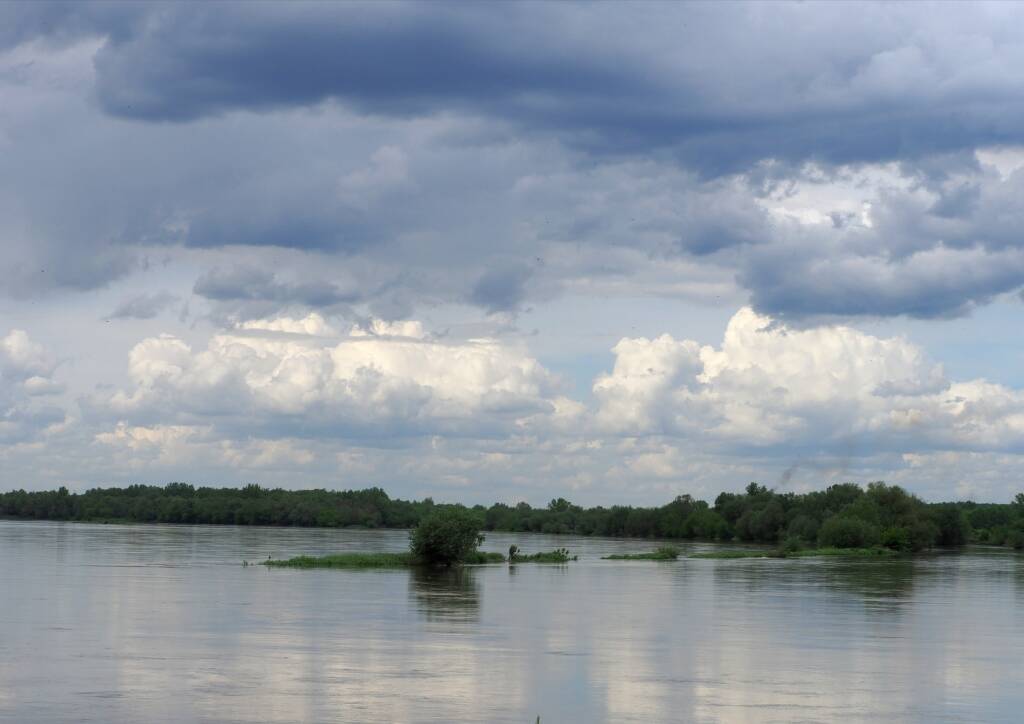 img 20210524 093254 2025 07 30 172352