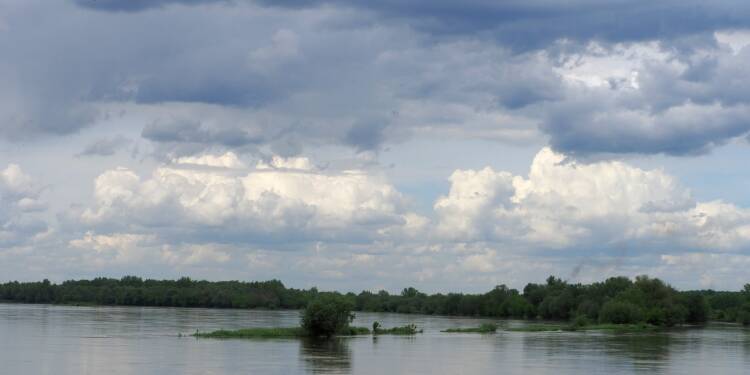 img 20210524 093254 2025 07 30 172352