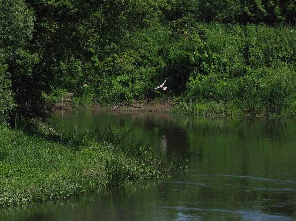 img 20210710 003116 2025 07 03 145754