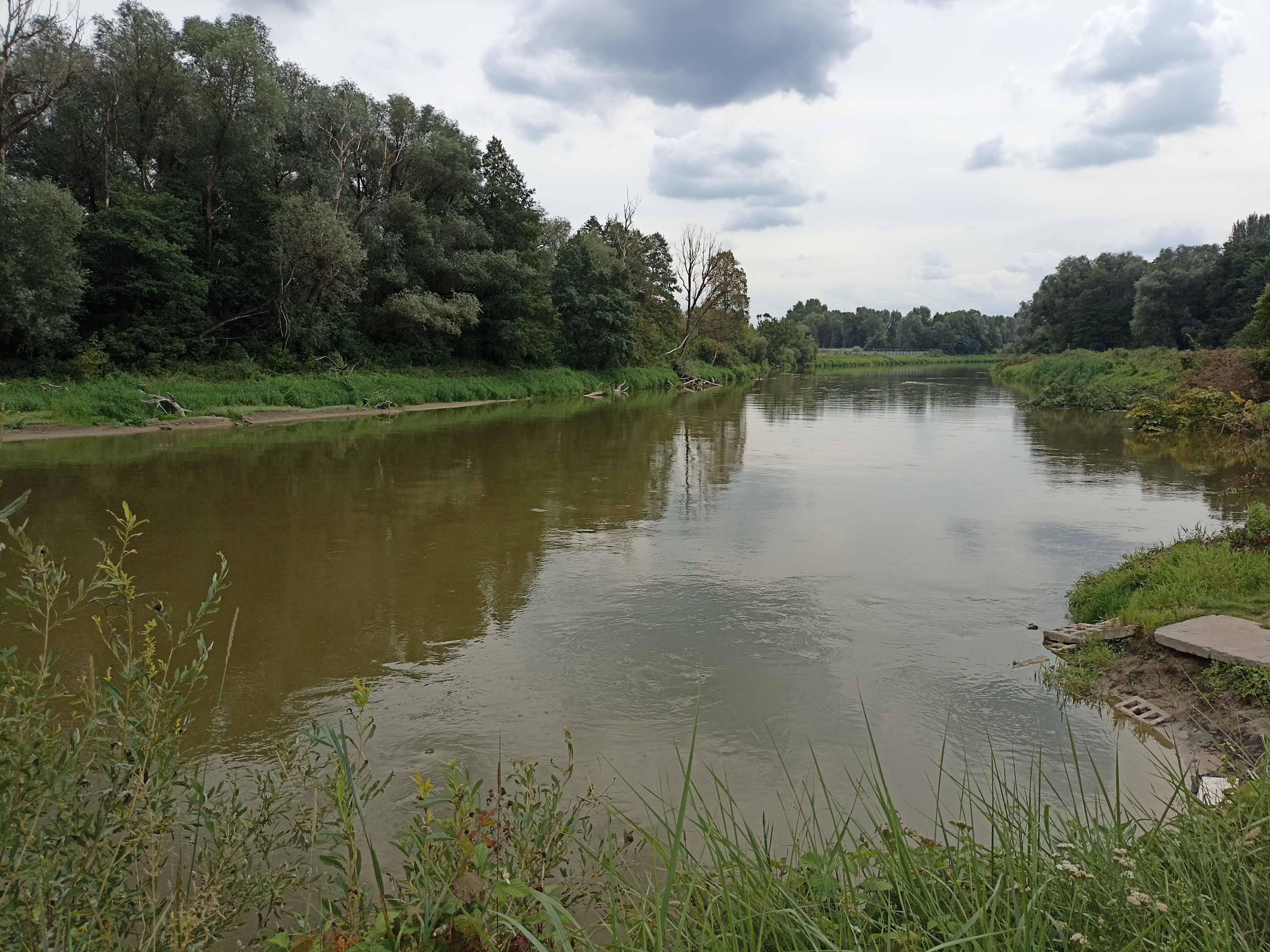 Kolejne zwłoki wyłowione z Bugu. Śledczy ustalają tożsamość ofiar