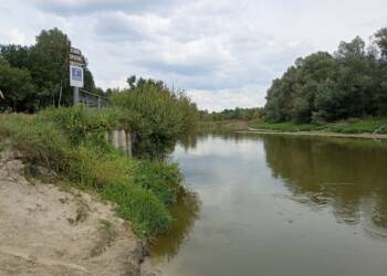 img 20240808 122954 2025 07 31 224117