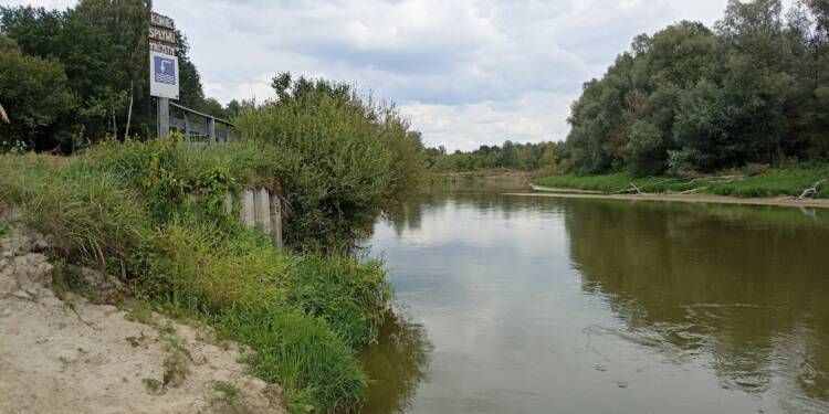 img 20240808 122954 2025 07 31 224117