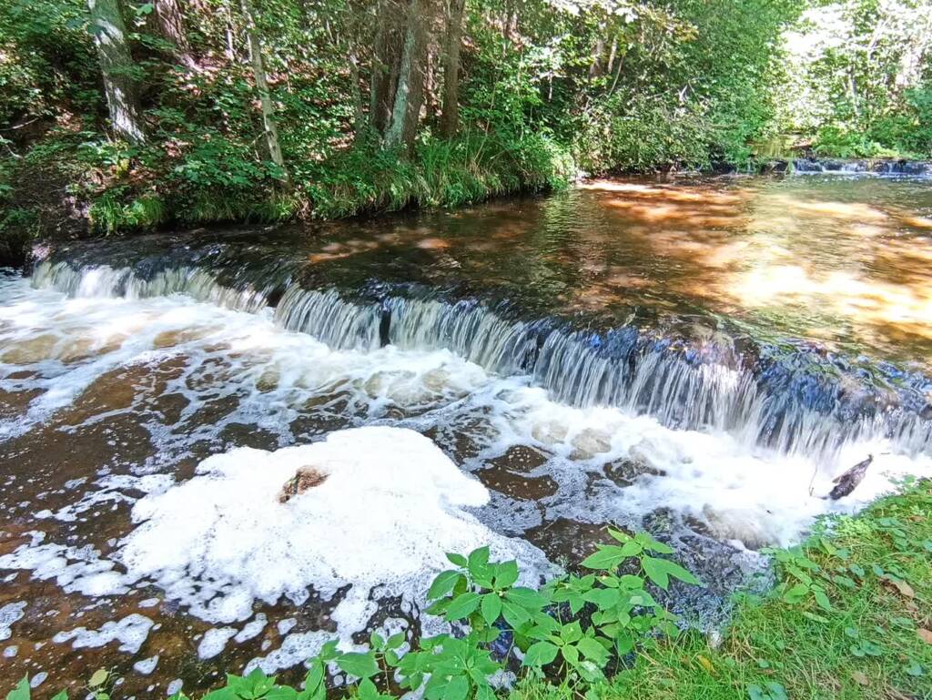 img 20250722 150555 2025 07 23 230733