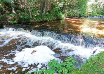 img 20250722 150555 2025 07 23 230733