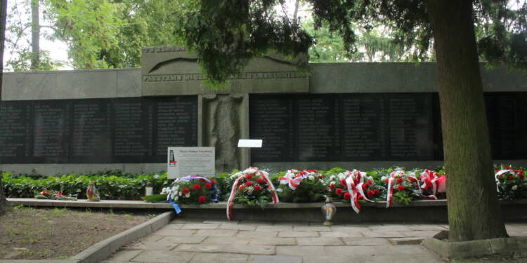 img 3120 2025 07 22 114918