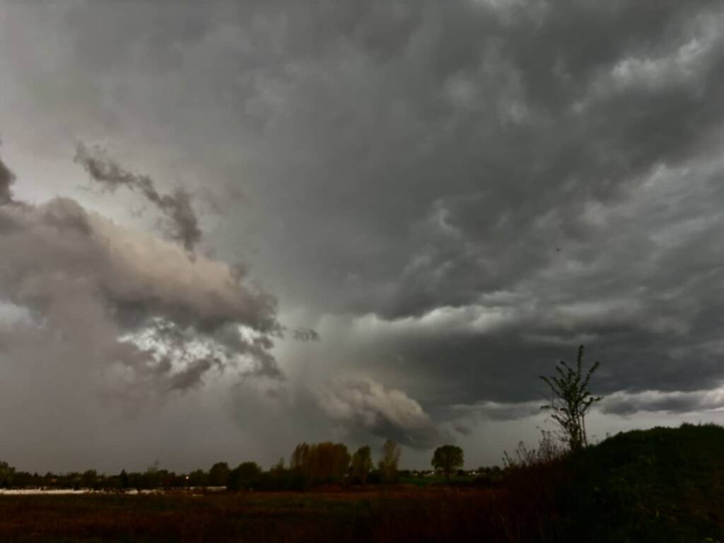 img 4457 2025 07 06 173557