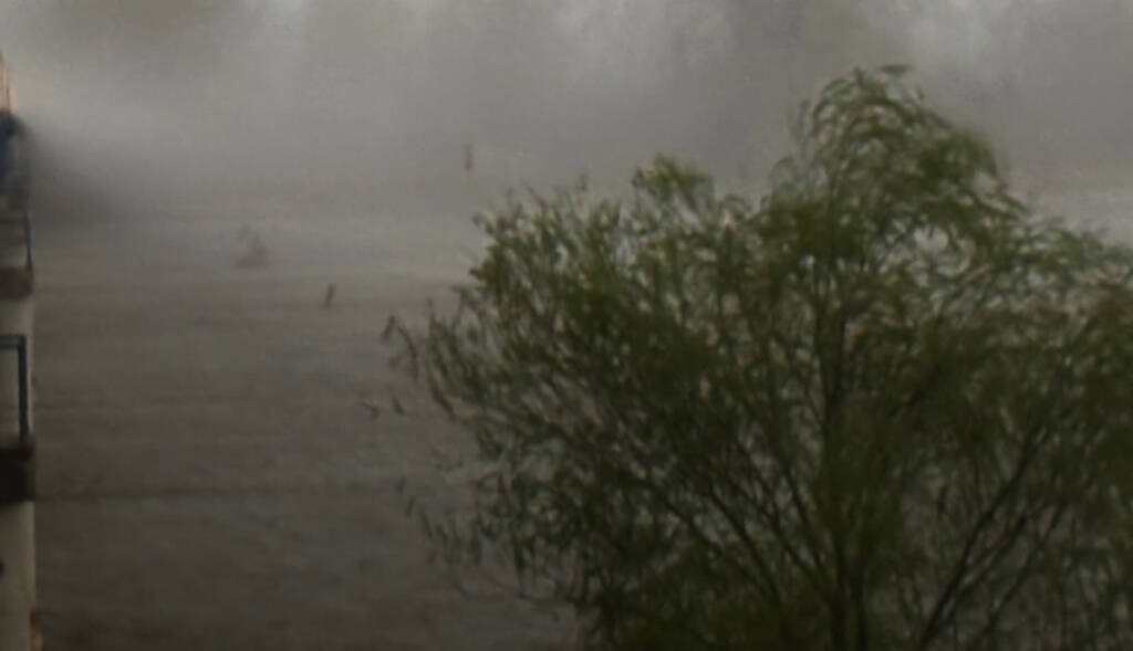 img 4466 2025 07 10 145715