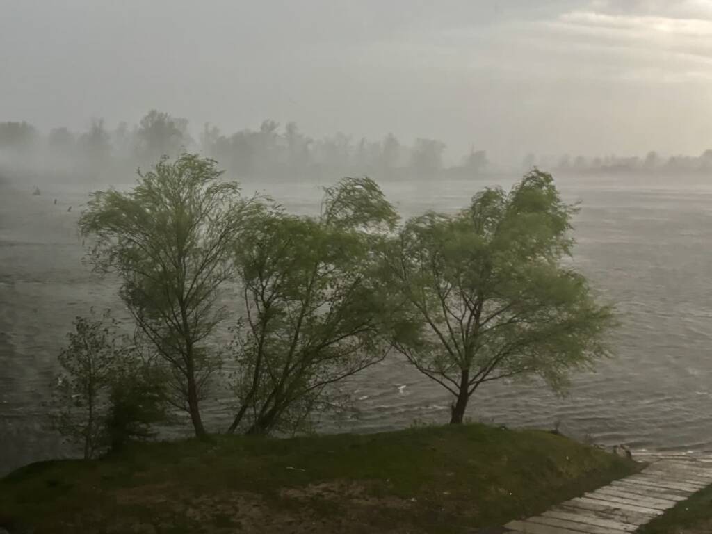 img 4473 2025 07 09 171348