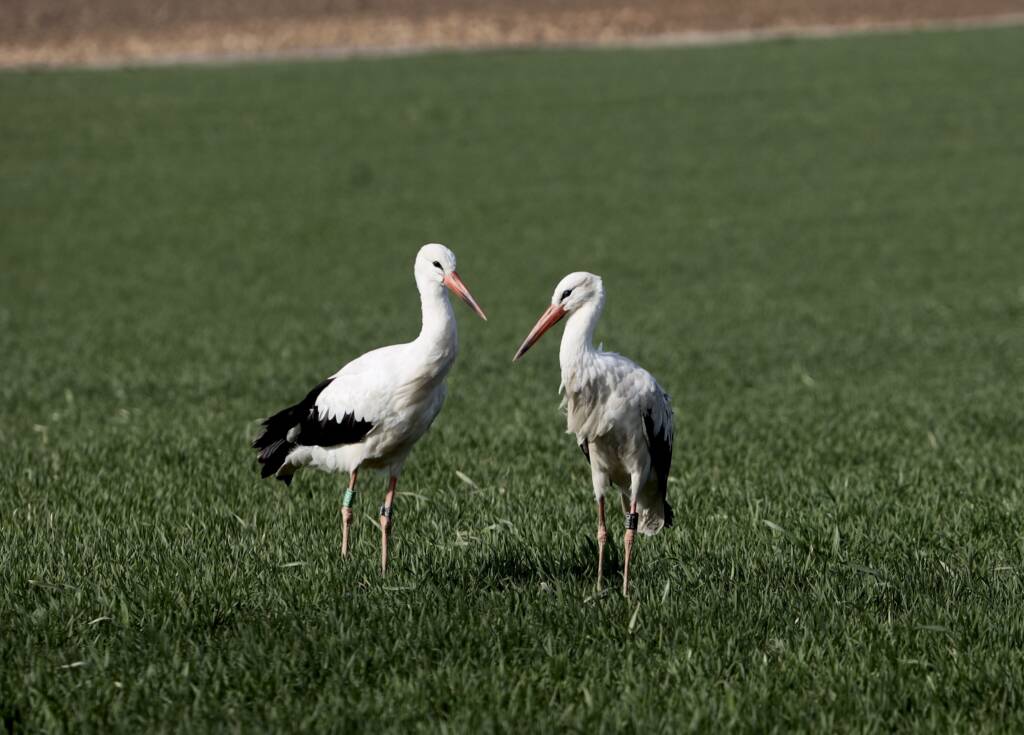 img 5709 2025 07 05 080620