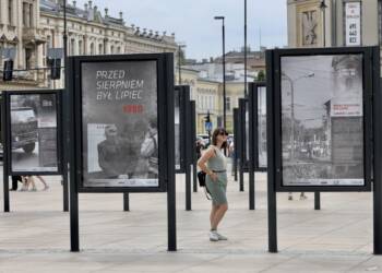 img 6013 2025 07 10 055745