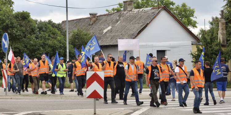 img 8862 2025 07 28 170708 2025 07 30 110326