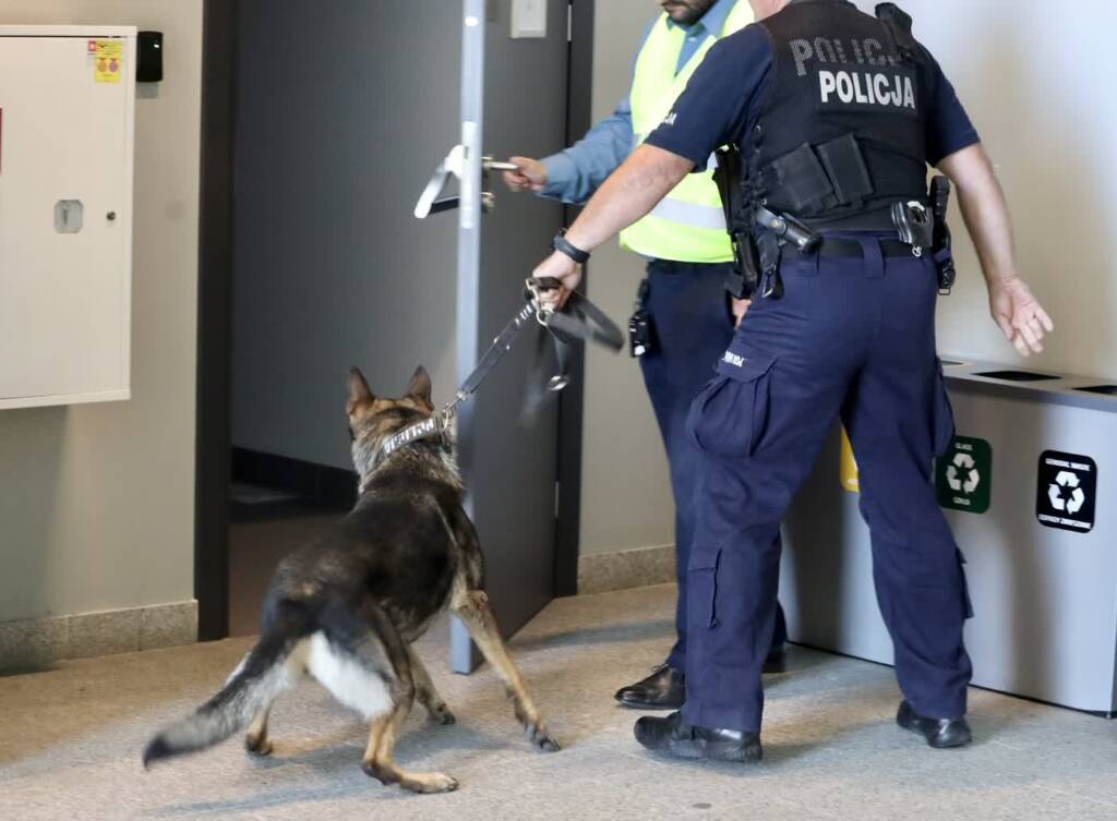 img 9047 2025 07 30 225803