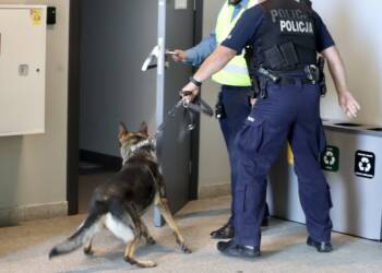 img 9047 2025 07 30 225803