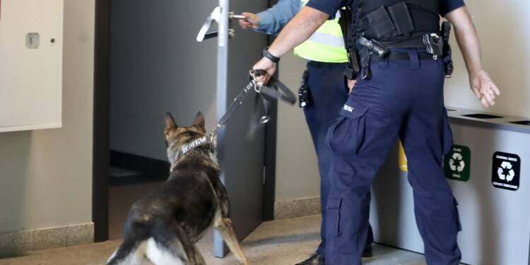 img 9047 2025 07 30 225803