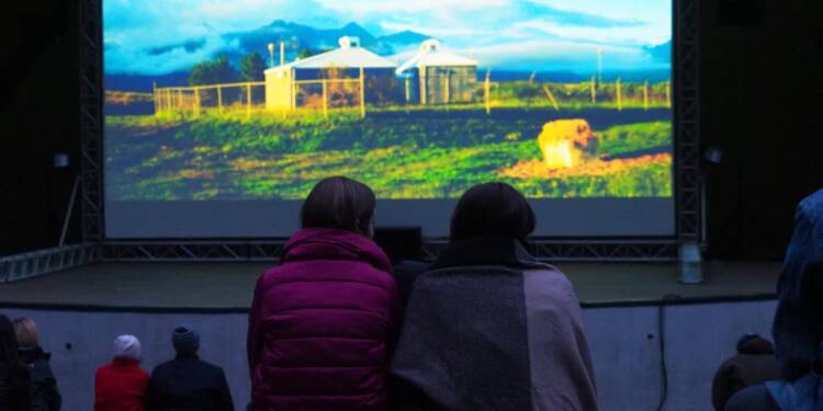 kino 4 2025 07 07 094440