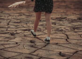 nature 8093509 1280 2025 07 07 172145