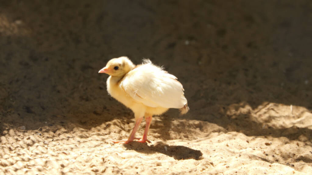 p1000910 2025 07 23 133516