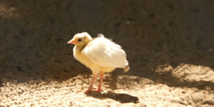 p1000910 2025 07 23 133516